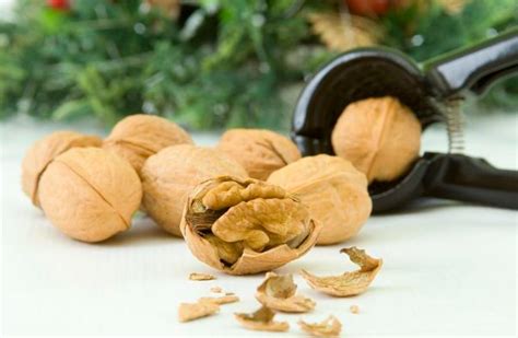 nuts 意味 スラング|nutとnutsの意味と使い方 (ネイティブのスラング辞典 .